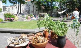 Muziejaus kiemelyje atgimė senieji amatai