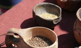 Muziejaus kiemelyje atgimė senieji amatai