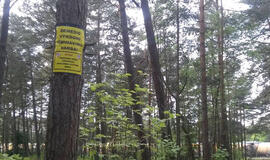 Poilsiautojus miške išgąsdino kariškių skelbimai