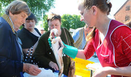 Žvejo dieną Danės krantinėje šurmuliuos mugė