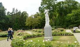 Palangos Birutės parko rožynas džiugina žiedais