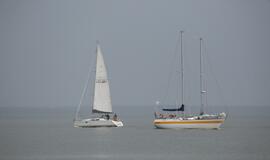 Pamario krašto žvejo šventė