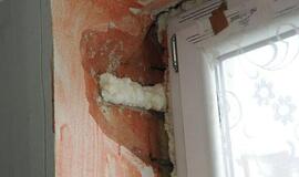 Renovacijos dienoraštis (10)