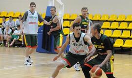 Rinktinės kandidatams - Jono Kazlausko pastabos