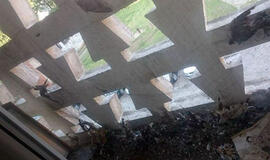 Balkone - kalnai nugaišusių balandžių