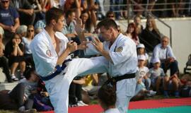 Japonų kultūros diena Kultūros fabrike