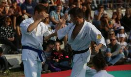 Japonų kultūros diena Kultūros fabrike