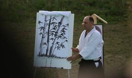 Japonų kultūros diena Kultūros fabrike