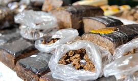 Sezoną pradėjo Žvejo jūrmylės bėgimas