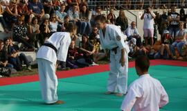 Japonų kultūros diena Kultūros fabrike