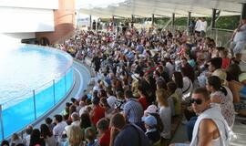 Jūrų muziejaus delfinariumas atidarymas