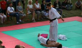 Japonų kultūros diena Kultūros fabrike