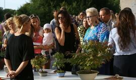 Japonų kultūros diena Kultūros fabrike