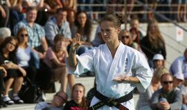 Japonų kultūros diena Kultūros fabrike