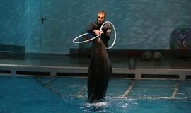 Jūrų muziejaus delfinariumas atidarymas