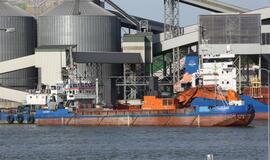 Jūrų muziejaus delfinariumas atidarymas