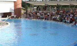 Jūrų muziejaus delfinariumas atidarymas