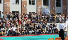 Japonų kultūros diena Kultūros fabrike