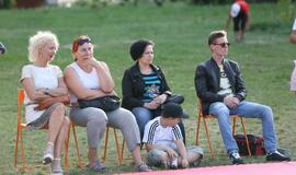 Japonų kultūros diena Kultūros fabrike