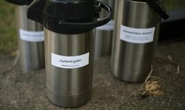 Haiku skaitymai valtyse