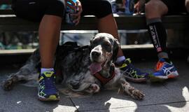 Sezoną pradėjo Žvejo jūrmylės bėgimas