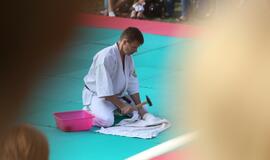 Japonų kultūros diena Kultūros fabrike