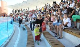 Jūrų muziejaus delfinariumas atidarymas