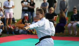 Japonų kultūros diena Kultūros fabrike