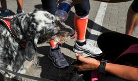 Sezoną pradėjo Žvejo jūrmylės bėgimas