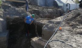 Meras lankėse Klaipėdos piliavietėje