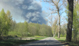Ribojamas lankymasis Neringos miškuose