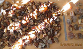 Sutuoktinių porai gintaro įvežti nepavyko