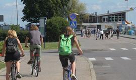 Vežti nidiškių ir vėl niekas nepanoro