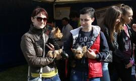 Gargžduose - Pasaulinės gyvūnų dienos šventė