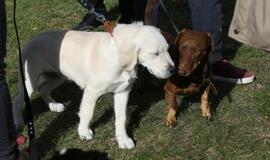 Gargžduose - Pasaulinės gyvūnų dienos šventė