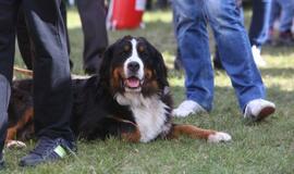 Gargžduose - Pasaulinės gyvūnų dienos šventė