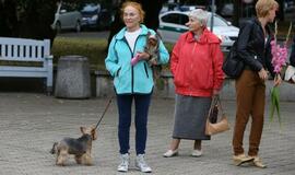 "Pirmoji pamoka" Lietuvininkų aikštėje