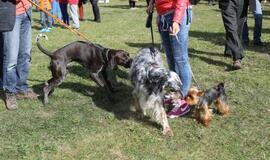 Gargžduose - Pasaulinės gyvūnų dienos šventė