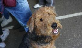 Gargžduose - Pasaulinės gyvūnų dienos šventė