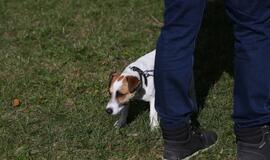 Gargžduose - Pasaulinės gyvūnų dienos šventė