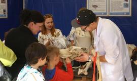 Gargžduose - Pasaulinės gyvūnų dienos šventė