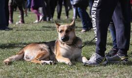 Gargžduose - Pasaulinės gyvūnų dienos šventė