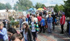 Žuvienės virimo varžybos