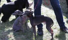 Gargžduose - Pasaulinės gyvūnų dienos šventė