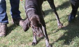 Gargžduose - Pasaulinės gyvūnų dienos šventė