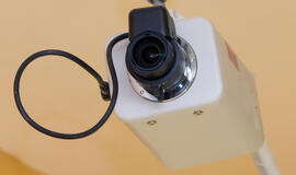 Taikos prospekte sulaikyta aštuoniolikmetė vagilė