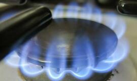 Baigtos Klaipėdos-Kuršėnų dujotiekio statybos