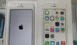 Internetu pirko "Iphone": nei telefono, nei pinigų