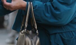 Laukininkų gatvėje vidurdienį apiplėšta moteris