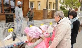 Palangoje vyko šeštoji Turgaus šventė